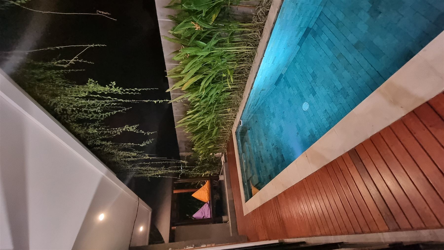 Cyber Jungle Villa property photo 4