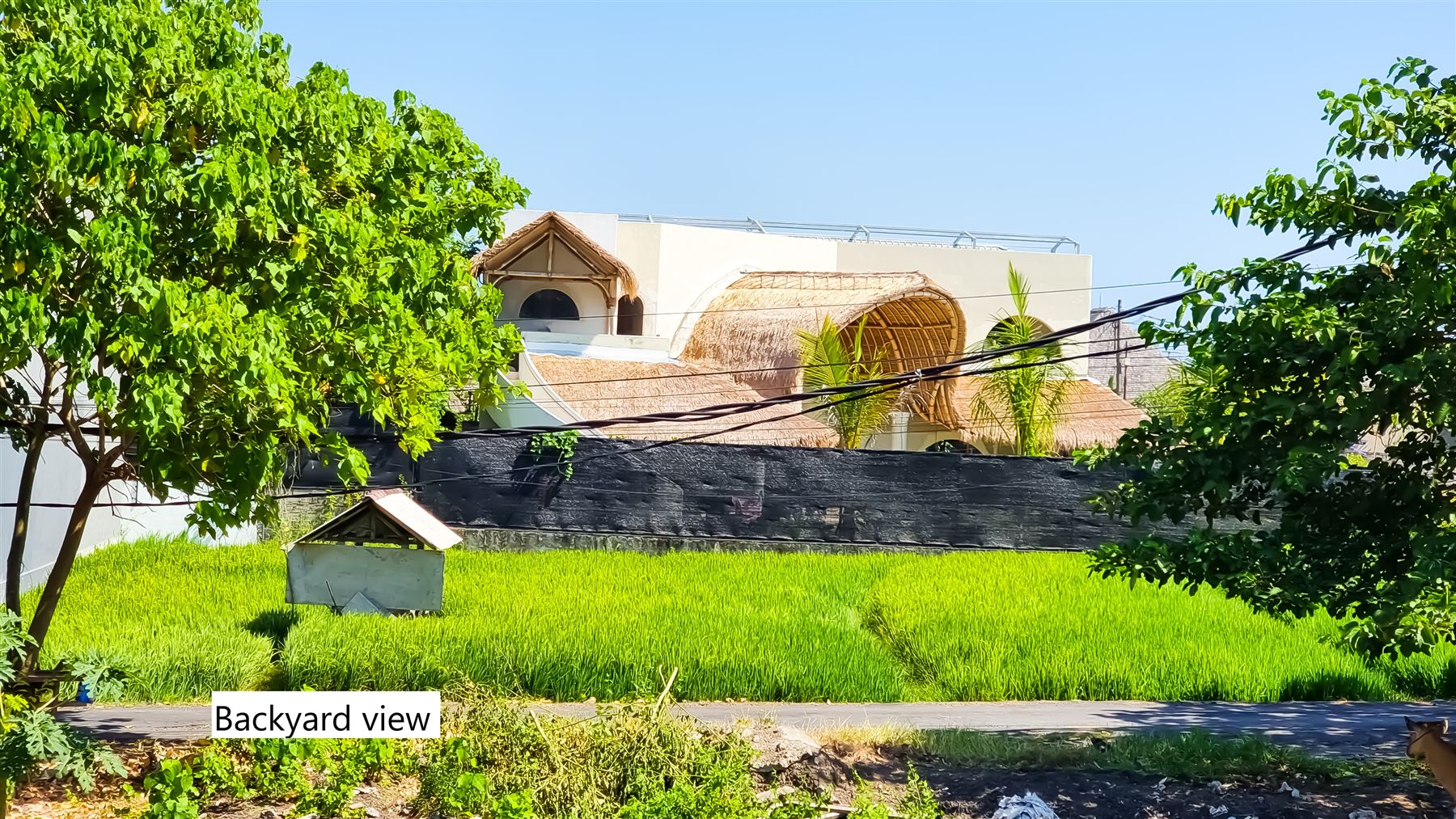 Cyber Jungle Villa property photo 8