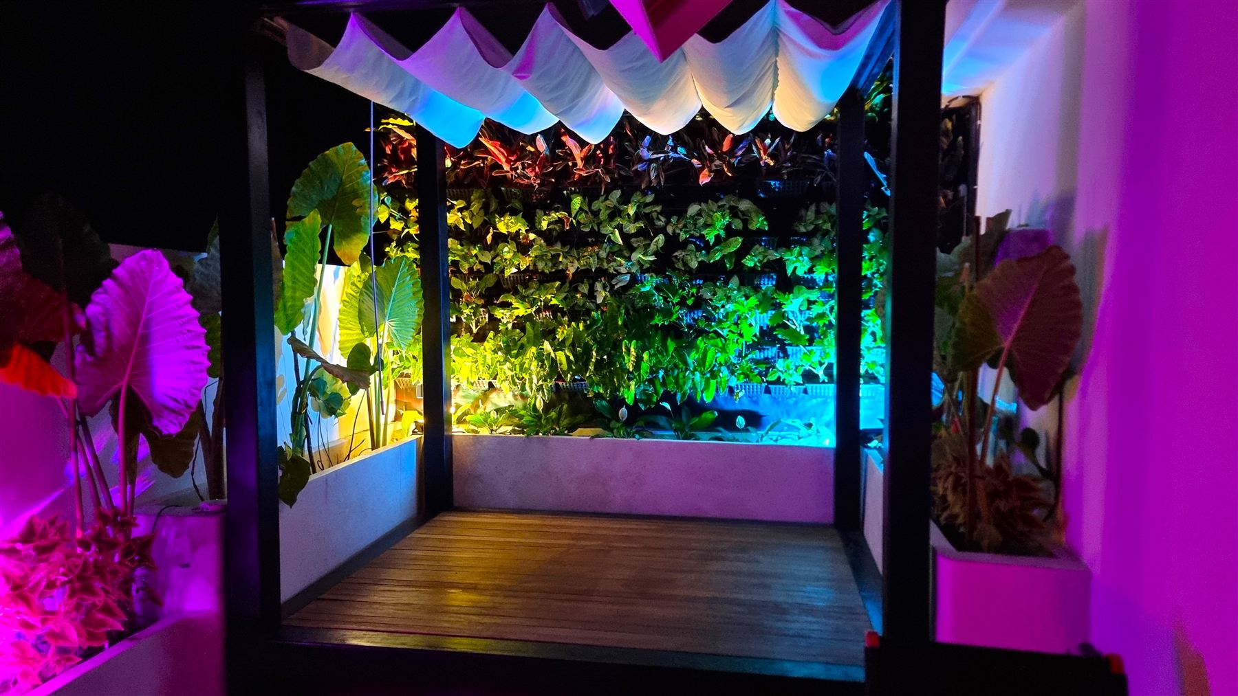 Cyber Jungle Villa property photo 25