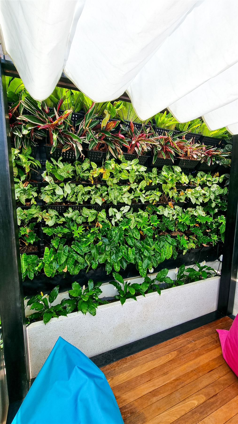 Cyber Jungle Villa property photo 29